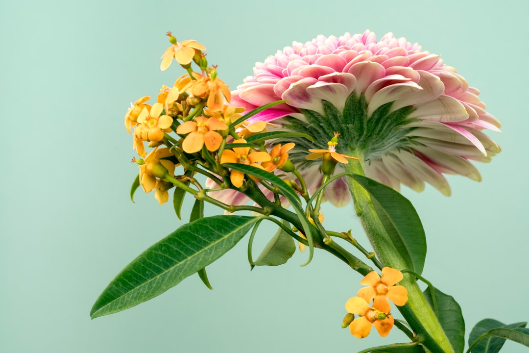 Spring Flower Arrangement
