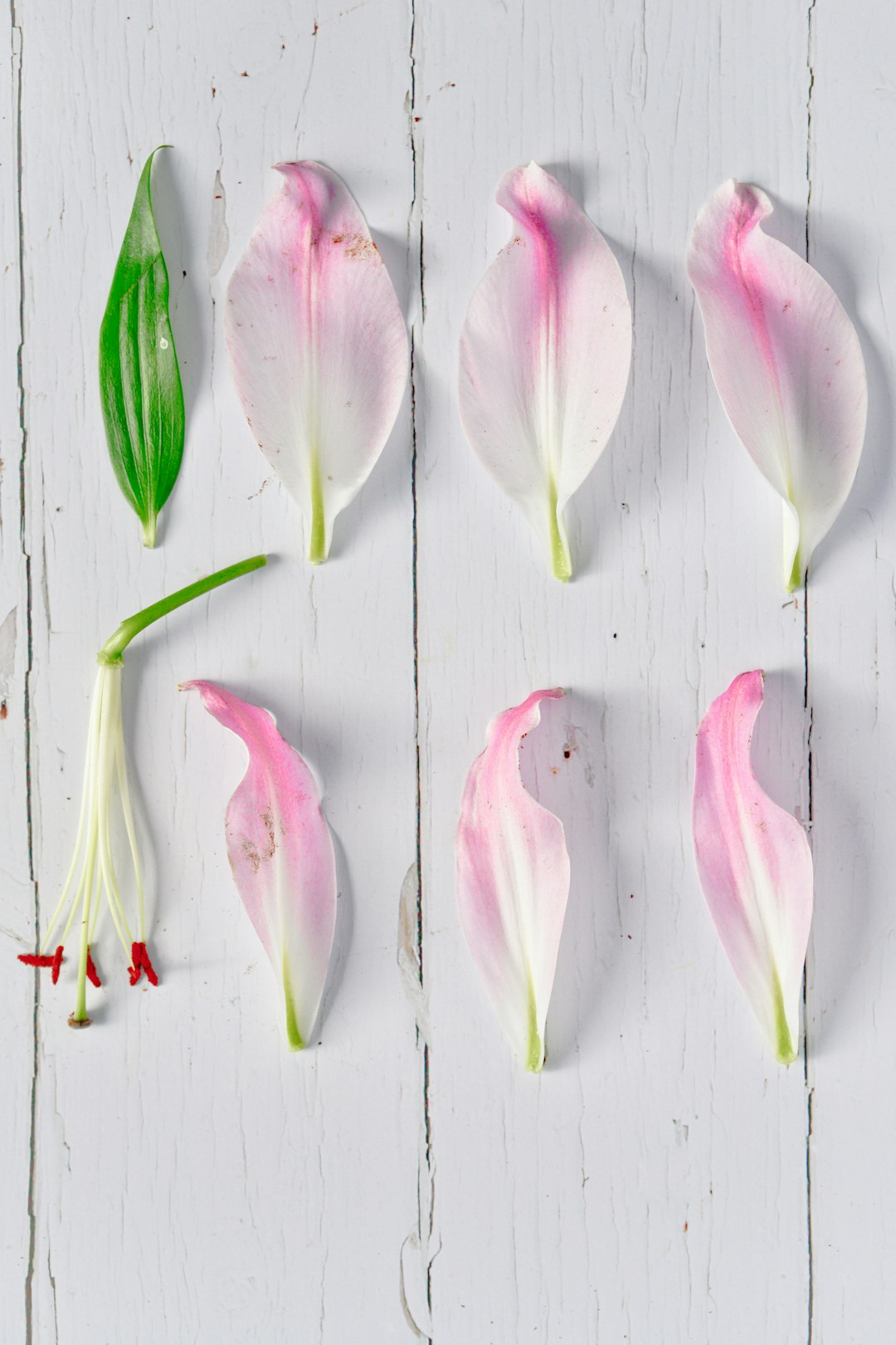 Cultural Wedding Flowers